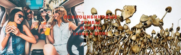 альфа пвп Беломорск